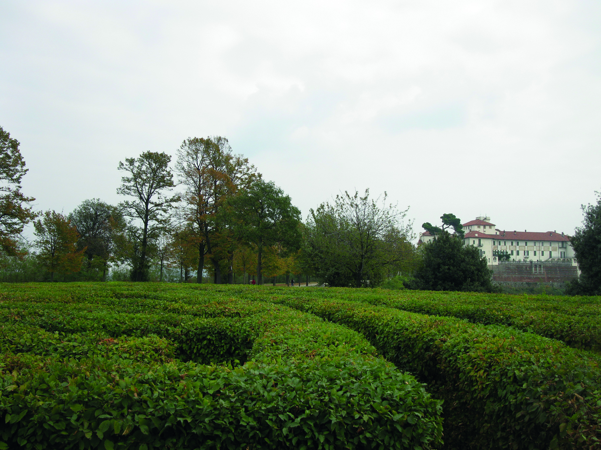 Fig. 4 – Masino (Torino), giardino del Castello, labirinto