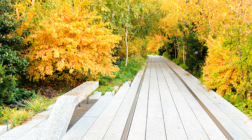 Autumn at the High Line Park in New York City